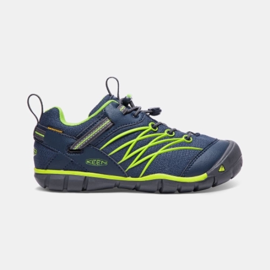 Kids' Keen Chandler Waterproof Cnx Hiking Shoes Navy Green | BRX-926571