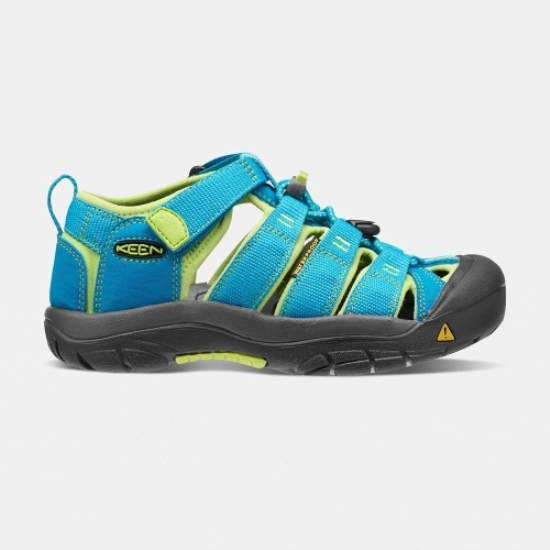 Kids' Keen Newport H2 Sandals Blue Green | IQU-256193