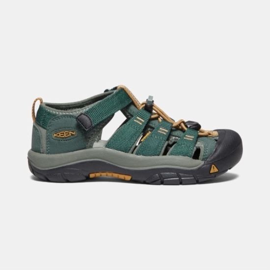 Kids' Keen Newport H2 Sandals Deep Green | YXZ-183740