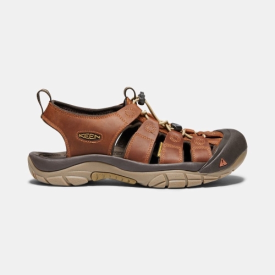 Men's Keen Newport Sandals Brown | BMF-851794