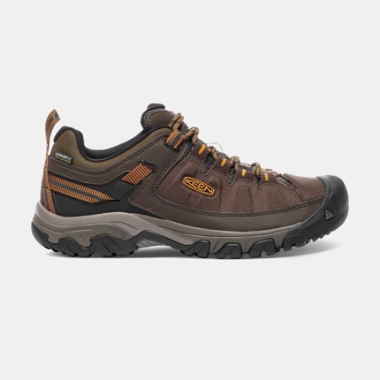 Men's Keen Targhee Exp Waterproof Hiking Shoes Brown | NQF-653218