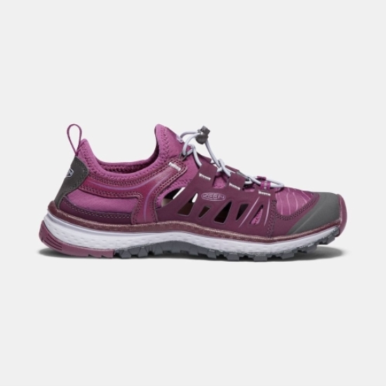 Women's Keen Terradora Ethos Slip On Shoes Purple | VQT-130749