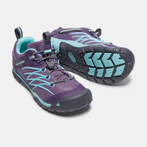 Kids' Keen Chandler Cnx Hiking Shoes Purple Light Turquoise | FCU-635297