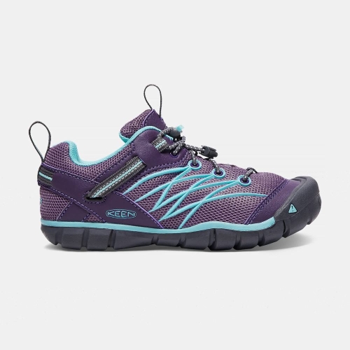 Kids\' Keen Chandler Cnx Hiking Shoes Purple Light Turquoise | FCU-635297