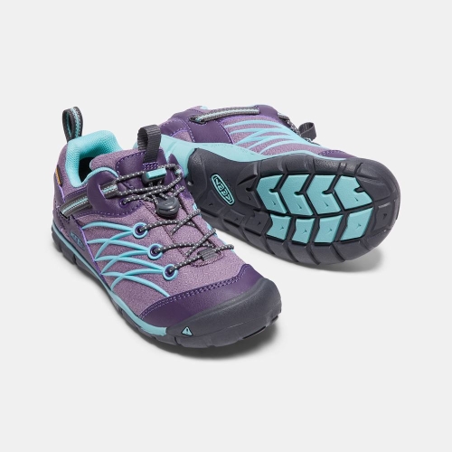 Kids' Keen Chandler Waterproof Cnx Hiking Shoes Purple Turquoise | ZVD-802167