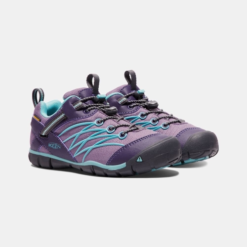 Kids' Keen Chandler Waterproof Cnx Hiking Shoes Purple Turquoise | ZVD-802167