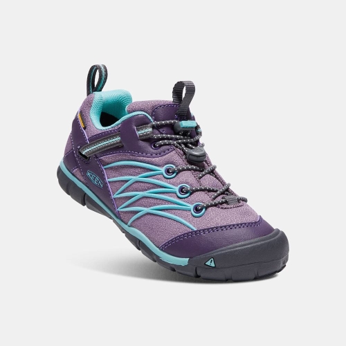 Kids' Keen Chandler Waterproof Cnx Hiking Shoes Purple Turquoise | ZVD-802167