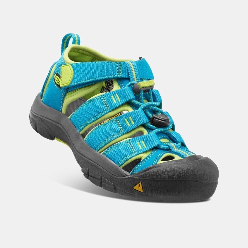 Kids' Keen Newport H2 Sandals Blue Green | IQU-256193