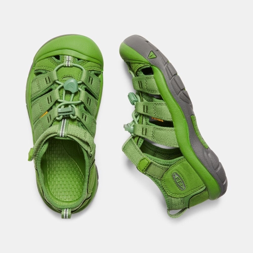 Kids' Keen Newport H2 Sandals Green | ITC-203451