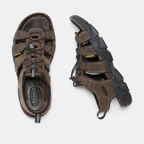 Men's Keen Daytona Hiking Sandals Dark Brown | EUB-537921