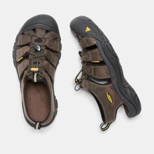 Men's Keen Newport Sandals Chocolate Black | XNW-517032