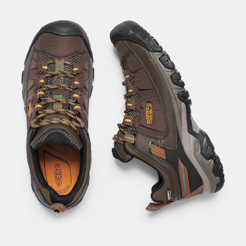 Men's Keen Targhee Exp Waterproof Wide Hiking Shoes Brown | GZW-107563