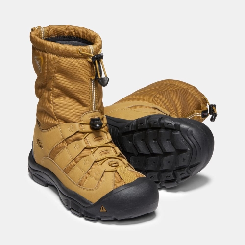 Men's Keen Winterport II Winter Boots Gold Black | QGV-162839