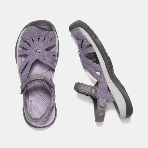 Women's Keen Rose Sandals Lavender | AJX-789436