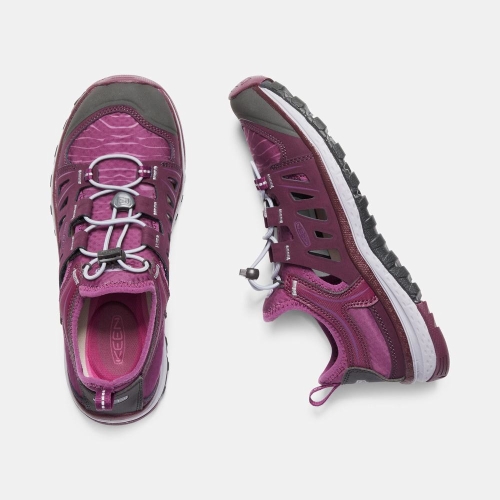 Women's Keen Terradora Ethos Slip On Shoes Purple | VQT-130749