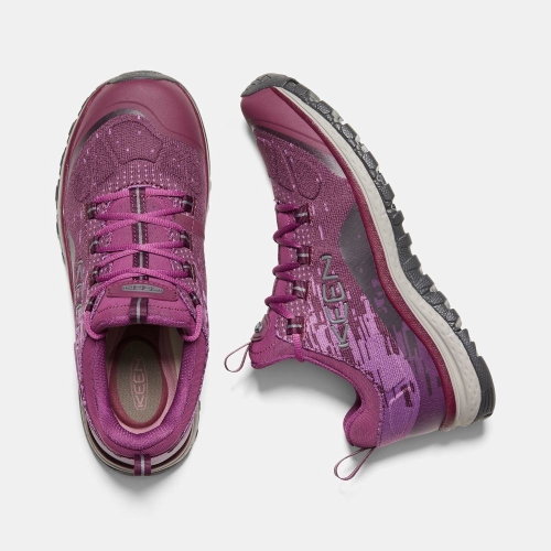 Women's Keen Terradora Evo Hiking Shoes Purple | XHN-759831