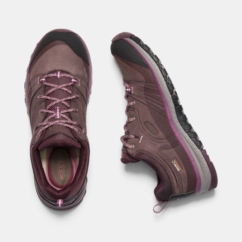 Women's Keen Terradora Leather Waterproof Hiking Shoes Purple | BHX-863572